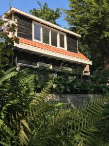a house with a lot of plants in front of it at Studio Het Kommertjeshof in Burgh Haamstede