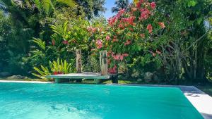 Bazén v ubytování Villa Strelitzia Cabarete nebo v jeho okolí