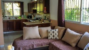 Kuchyň nebo kuchyňský kout v ubytování Villa Strelitzia Cabarete