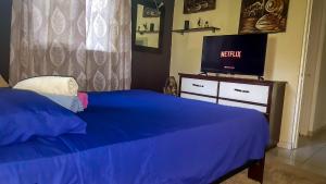 Postel nebo postele na pokoji v ubytování Villa Strelitzia Cabarete