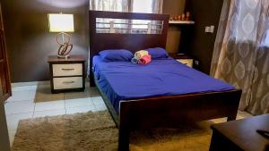 Postel nebo postele na pokoji v ubytování Villa Strelitzia Cabarete