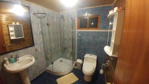 a bathroom with a sink and a toilet and a shower at Cabañas Christophe in Hanga Roa