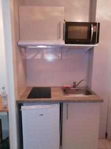 una pequeña cocina con fregadero y microondas en Agréable Studio Lumineux, en Aix-les-Bains