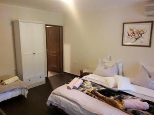 een hotelkamer met 2 bedden en een deur bij Apartments and Rooms Deskovic in Mošćenička Draga