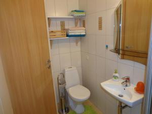 Ένα μπάνιο στο Apartamentai Vetrungiu g 3 +15 φωτογραφίες