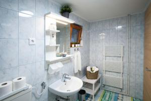 a bathroom with a sink and a mirror at Apartma Liza in Tržič