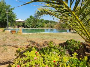 ein Schwimmbad in der Mitte eines Gartens in der Unterkunft Agriturismo Il Poderino in Bibbona