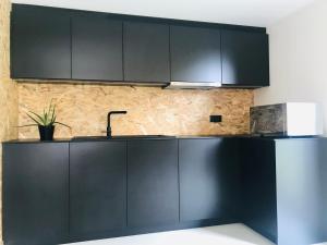 a kitchen with black cabinets and a sink at La Grande Maraudeuse in Theux