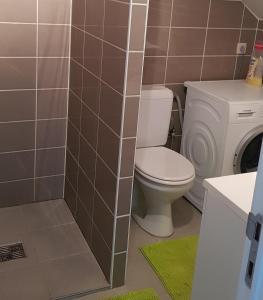 a bathroom with a toilet and a washing machine at Studio Haras in Wavre