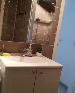 a bathroom with a sink and a mirror at Studio Haras in Wavre