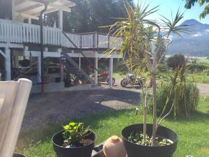 dois vasos de plantas em frente a uma casa em Buddha Lounge em Faak am See