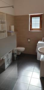 baño con aseo y lavabo y ventana en Pension Lischenhof, en Ehrwald