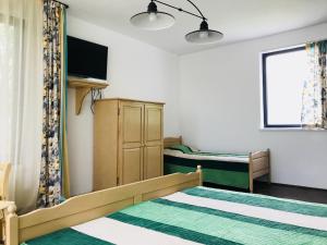 a bedroom with a bed and a tv and a window at Vila Blanca in Alexandru cel Bun