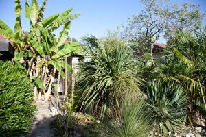 a garden with palm trees and a house at Villa Margaux in Fargues-Saint-Hilaire