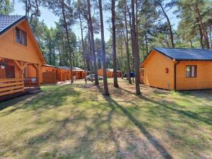 un grupo de lodges en el bosque con árboles en Domki Letniskowe Korona, en Pogorzelica
