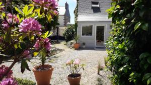 Plonéour-LanvernにあるGîte, Le Jardind'Eneour, spots de surf, plages et randonnées !の鉢植えの庭