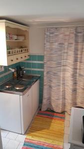 a kitchen with a sink and a shower curtain at Ferienwohnung Brodersen in Boren