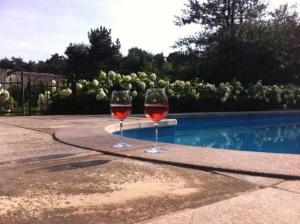 two glasses of wine sitting next to a swimming pool at Veld en Bosch in Leusden