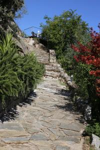 einen Steinweg mit Pflanzen auf jeder Seite in der Unterkunft Casa Giacometti in Grosseto-Prugna