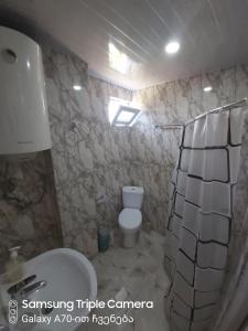 Vannituba majutusasutuses Martvili Newhotel