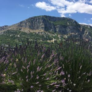 CoursegoulesにあるMaison Martheの紫の花が目の前の山