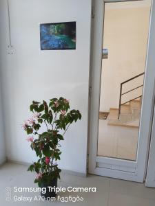 Foto sihtkohas Martvili asuva majutusasutuse Martvili Newhotel galeriist