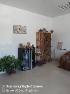 Foto sihtkohas Martvili asuva majutusasutuse Martvili Newhotel galeriist