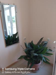 Foto sihtkohas Martvili asuva majutusasutuse Martvili Newhotel galeriist
