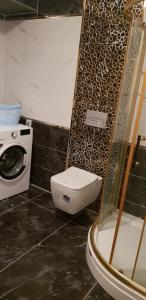 La salle de bains est pourvue de toilettes et d'un lave-linge. dans l'établissement Taybah Villa 4 sapanca, à Sapanca
