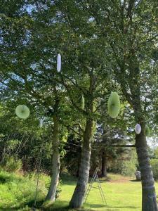 two trees with paper umbrellas in a park at 7 Bedrooms Horse Farm near Skagen in Jerup
