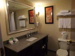 a bathroom with a sink and a mirror and a toilet at Holiday Inn Express Lexington Southwest Nicholasville, an IHG Hotel in Nicholasville
