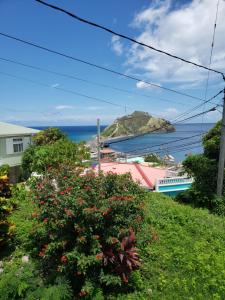 a view of the ocean from a hill with flowers at Midway Cottage in Scotts Head Village