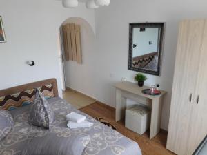 a bedroom with a bed and a mirror on the wall at Pensiunea Casa Domnitei in Baia de Fier