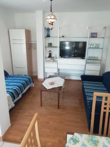 a living room with a couch and a tv at Apartments Bosket in Kastav