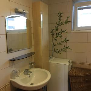 ein Badezimmer mit einem Waschbecken, einem WC und einem Spiegel in der Unterkunft Apartment Tekeľova 95m2 in Prešov