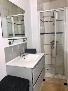 bagno bianco con lavandino e doccia di Appartement Aventure à Épernay a Épernay