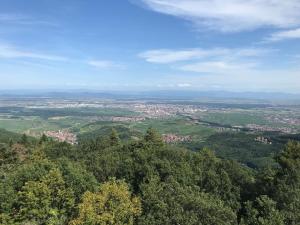 Galeriebild der Unterkunft Le Belvédère - GÎTES MARCK in Turckheim + 3 Fotos