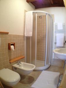 a bathroom with a shower and a toilet and a sink at Agriturismo Antico Filare in Bianzone