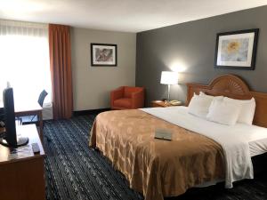 Gallery image of Quality Inn Rochester in Rochester
