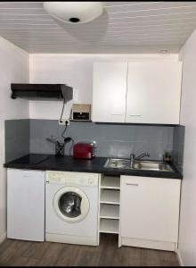 una cucina con lavello e lavatrice di Appartement Aventure à Épernay a Épernay