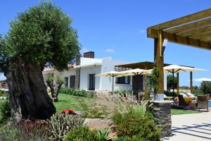 una casa con un árbol y dos sombrillas en Vistas - Herdade do Zambujal, en Castro Verde