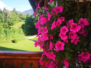 een bos roze bloemen hangend aan een raam bij TriSa apartments Bohinj in Bohinj