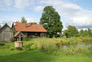 ein Haus auf einem Rasen mit einem Teich davor in der Unterkunft Dzērves in Araiši