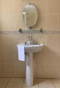 La salle de bains est pourvue d'un lavabo blanc et d'un miroir. dans l'établissement Clones 'Greenjoy - B&B, à Corconnelly