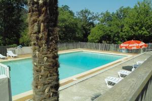 a swimming pool with a palm tree and an umbrella at le Moulin de Cost in Buis-les-Baronnies