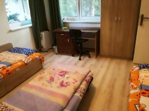 1 dormitorio con 2 camas y escritorio con ordenador en Стаи за гости "Дом Градина Вита" / Guest Rooms “House Vita Garden”, en Sofía