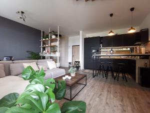 Kuchyň nebo kuchyňský kout v ubytování Iglovia Apartment