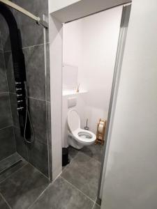 Koupelna v ubytování Iglovia Apartment
