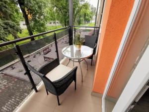 Balkón nebo terasa v ubytování Iglovia Apartment