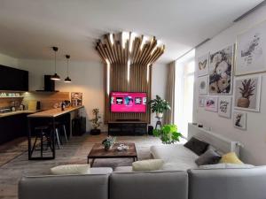 TV a/nebo společenská místnost v ubytování Iglovia Apartment